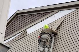 Best Stucco Siding  in South Monroe, MI